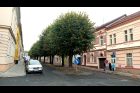 Louny, Jeronýmova ulice, lipové stromořadí chtějí místní zachránit
