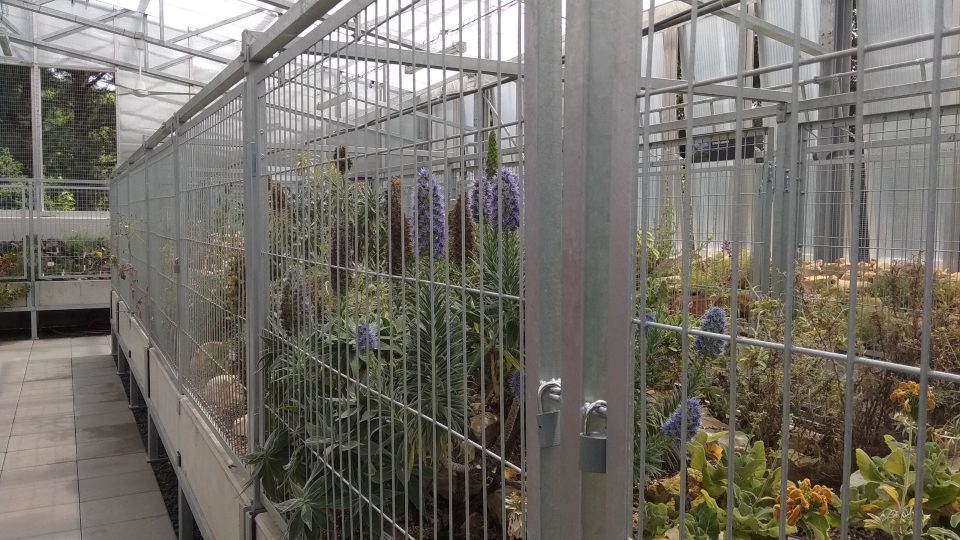 Botanická zahrada v Teplicích otevírá nový, skalničkový skleník