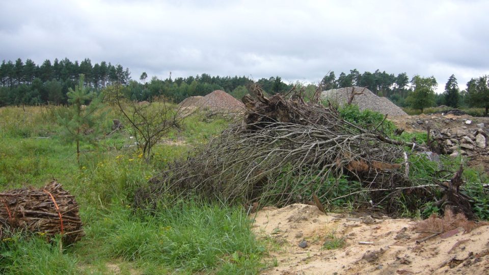 Ralsko - nelegální těžba dřeva