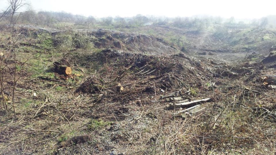 Sesutý svah na dálnici D8 nad Litochovicemi na Litoměřicku. Dřevorubci pokáceli stromy, aby mohli geologové začít s průzkumem. Od něj by se pak mělo odvíjet zajištění svahu proti dalšímu sesuvu