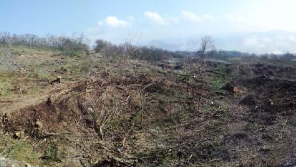 Sesutý svah na dálnici D8 nad Litochovicemi na Litoměřicku. Dřevorubci pokáceli stromy, aby mohli geologové začít s průzkumem. Od něj by se pak mělo odvíjet zajištění svahu proti dalšímu sesuvu