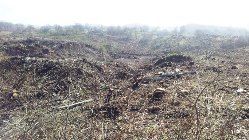 Sesutý svah na dálnici D8 nad Litochovicemi na Litoměřicku. Dřevorubci pokáceli stromy, aby mohli geologové začít s průzkumem. Od něj by se pak mělo odvíjet zajištění svahu proti dalšímu sesuvu