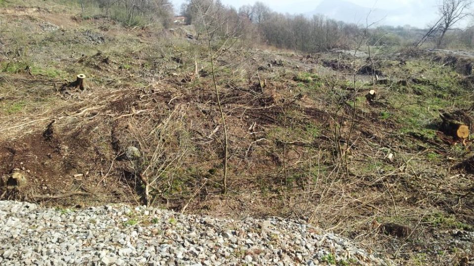 Sesutý svah na dálnici D8 nad Litochovicemi na Litoměřicku. Dřevorubci pokáceli stromy, aby mohli geologové začít s průzkumem. Od něj by se pak mělo odvíjet zajištění svahu proti dalšímu sesuvu