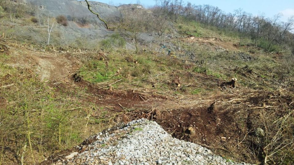 Sesutý svah na dálnici D8 nad Litochovicemi na Litoměřicku. Dřevorubci pokáceli stromy, aby mohli geologové začít s průzkumem. Od něj by se pak mělo odvíjet zajištění svahu proti dalšímu sesuvu