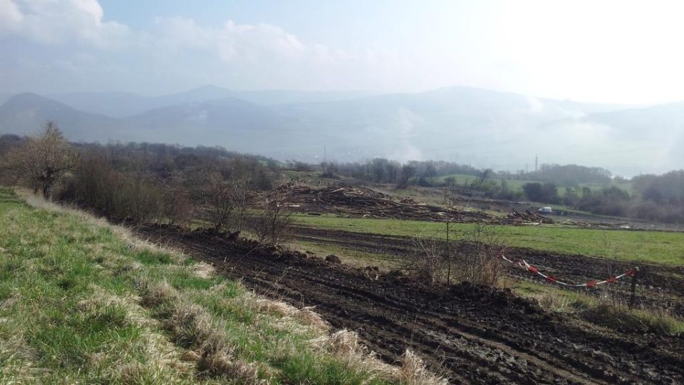 Sesutý svah na dálnici D8 nad Litochovicemi na Litoměřicku. Dřevorubci pokáceli stromy, aby mohli geologové začít s průzkumem. Od něj by se pak mělo odvíjet zajištění svahu proti dalšímu sesuvu