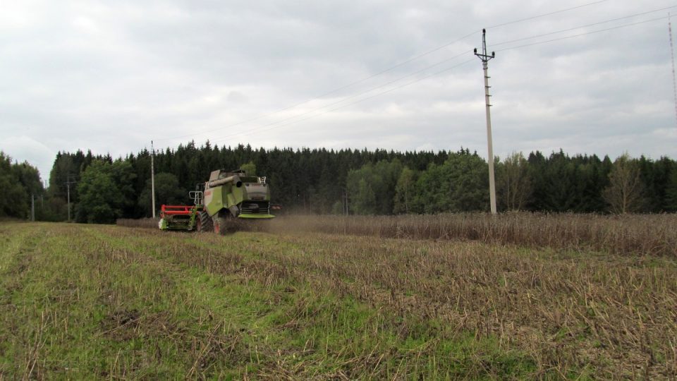 Makové pole Úněšovského statku