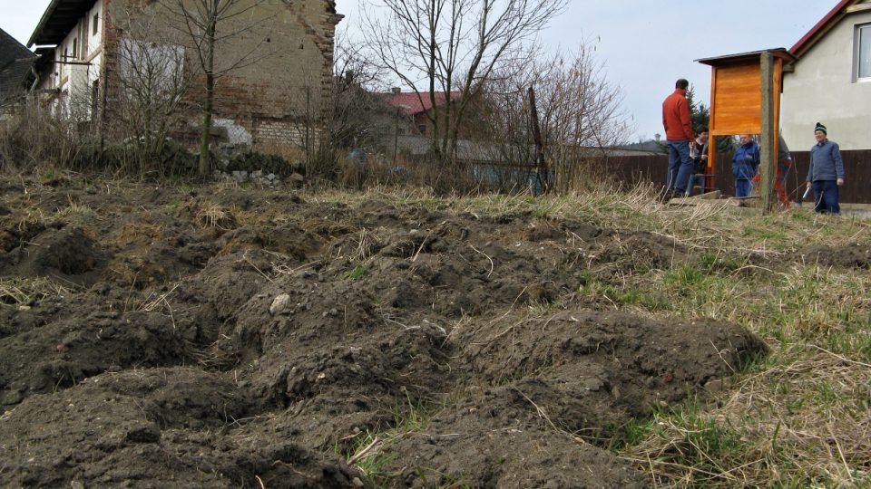 Pole, kde se bude pěstovat křen