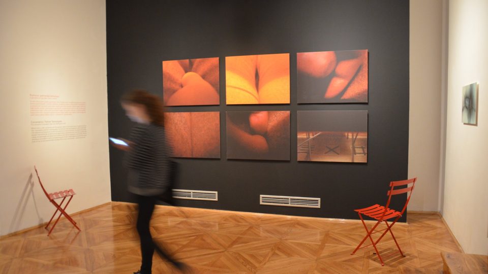 Galerie hlavního města Prahy tu střídá výstavy, toto je retrospektivní výstava Miloty Havránkové