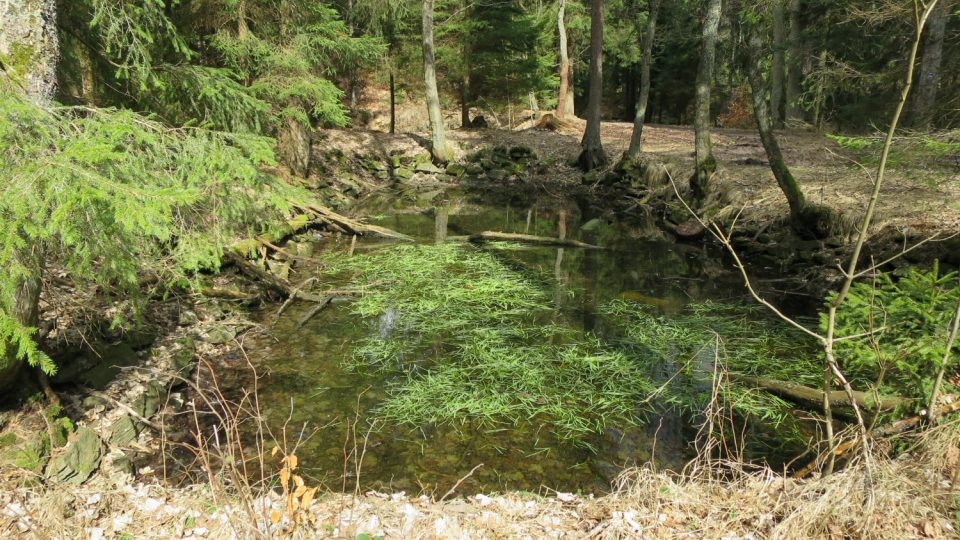 Na místech, kde kdysi stával lovecký zámeček Lusthaus, jsou dodnes patrné pstruhové rybníčky