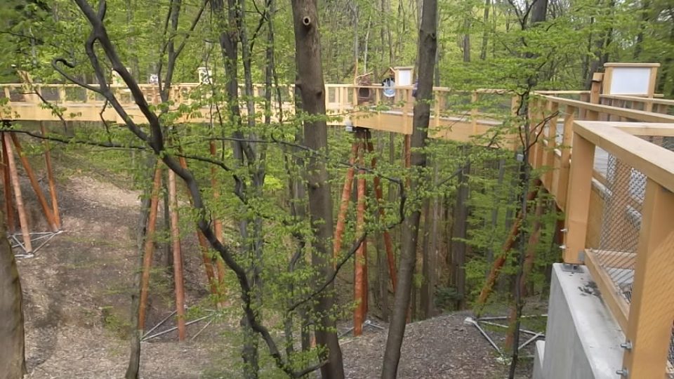 Beskydské nebe přiměje návštěvníky důkladněji se porozhlédnout po zdejší přírodě a zaposlouchat se do jejích zvuků | foto: Naďa Čvančarová, Český rozhlas Beskydské nebe přiměje návštěvníky důkladněji se porozhlédnout po zdejší přírodě a zaposlouchat se do jejích zvuků