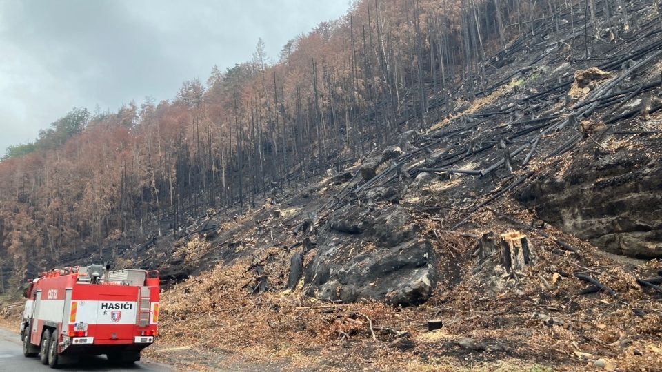 Požár v Českém Švýcarsku, s požářištěm přes 1200 hektarů, se stal tím nejrozsáhlejším v dějinách České republiky