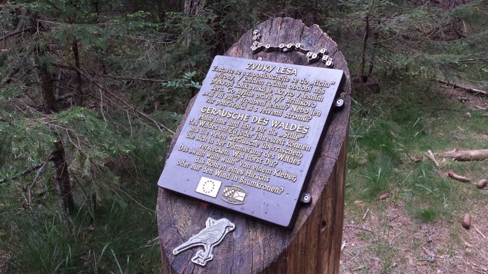 Popisky na stezce jsou dvojjazyčné | foto: Filip Černý, Český rozhlas Popisky na stezce jsou dvojjazyčné