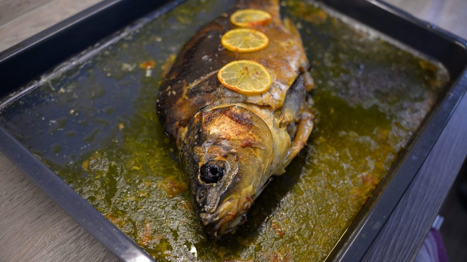 DSC_2171.jpg | foto: Martin Čuřík DSC_2171.jpg