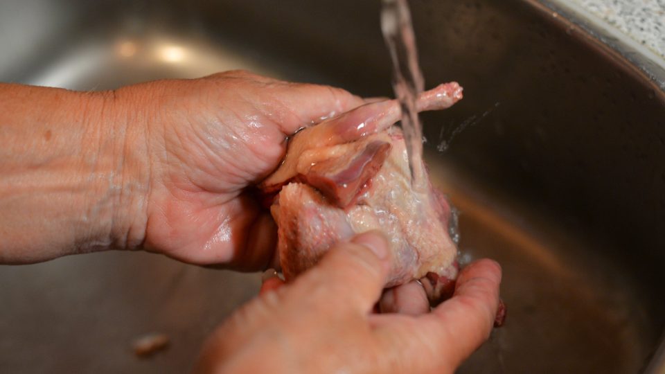 Holoubata opláchneme pod studenou vodou | foto: Martin Čuřík Holoubata opláchneme pod studenou vodou