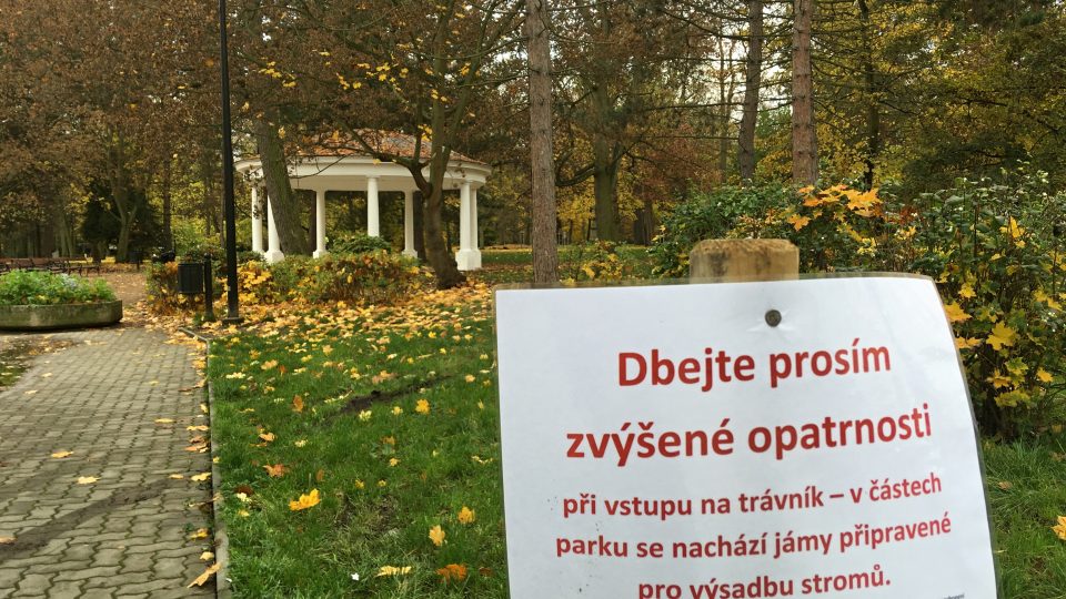 V Zámecké zahradě v Teplicích bude 184 nových stromů místo těch pokácených