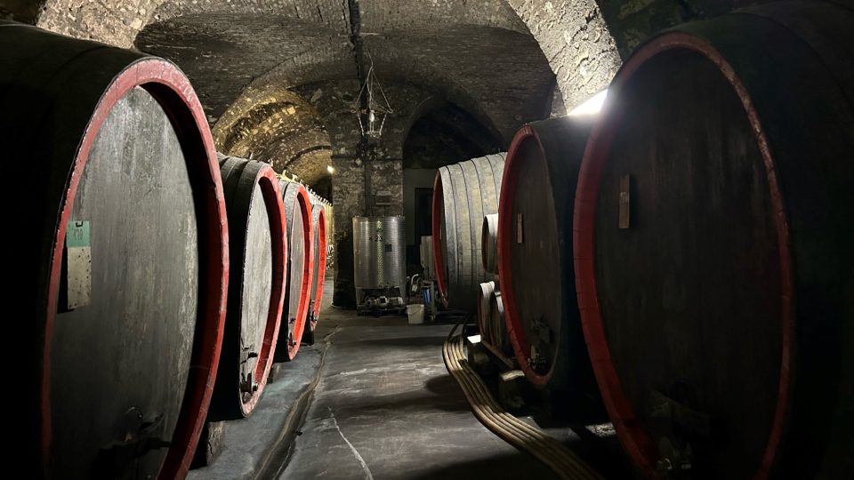 Stáčení posledních litrů mladého vína Roudnice nad Labem