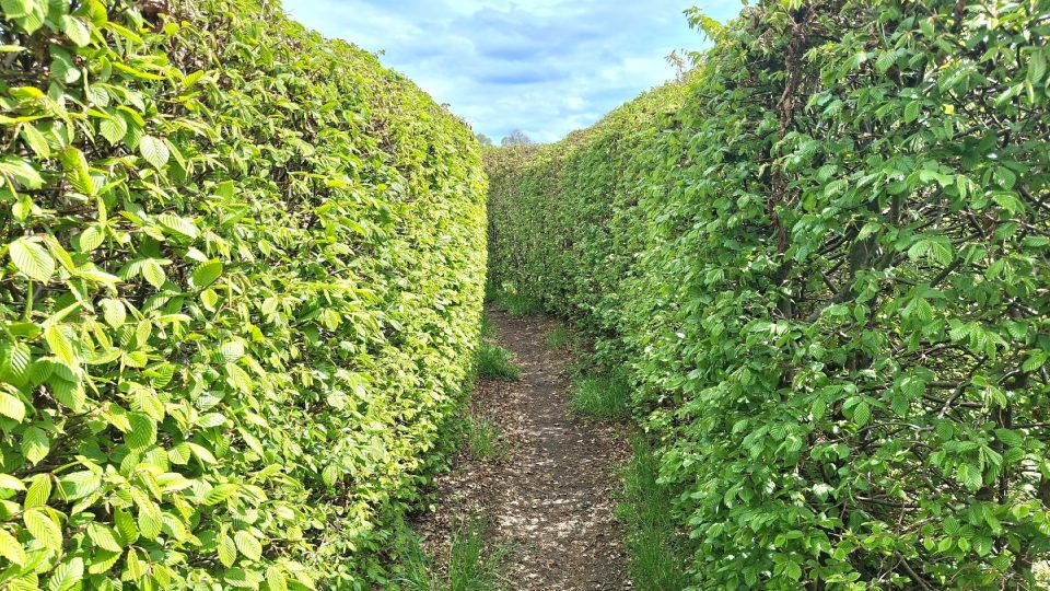 Některé cesty jsou široké, jiné úzké | foto: Zdeněk Zajíček, Český rozhlas Některé cesty jsou široké, jiné úzké