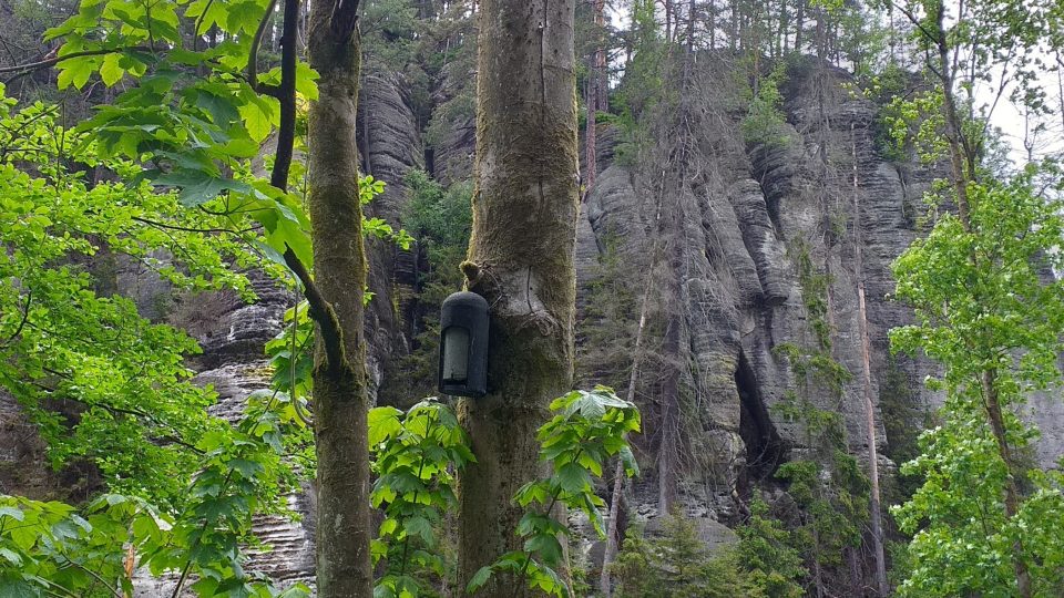V Kyjovském údolí objevíte také Jeskyni víl nebo jeskyni zvanou Klenotnice. Prý podle lapků, kteří tu schovávali svůj lup | foto: Stanislava Brádlová, Český rozhlas V Kyjovském údolí objevíte také Jeskyni víl nebo jeskyni zvanou Klenotnice. Prý podle lapků, kteří tu schovávali svůj lup