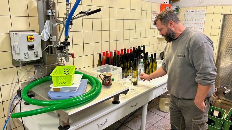 Stáčení posledních litrů mladého vína Roudnice nad Labem