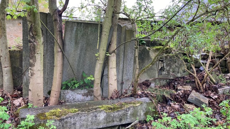 Starý německý hřbitov v Českém Bukově u Povrlů zachraňují dobrovolníci ze spolku Omnium