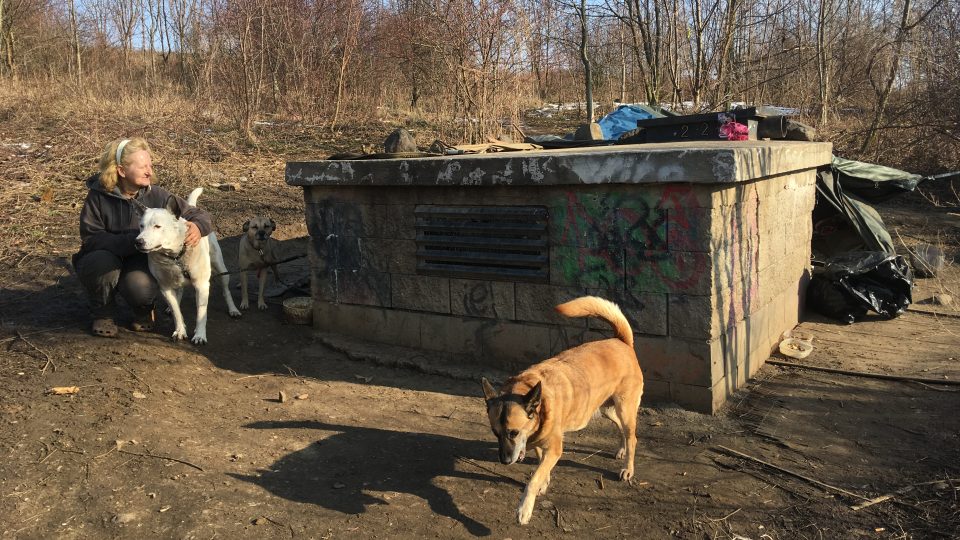 Do azylového domu paní Jitka se psy nemůže. Město jí chce pomoci půjčením tzv. iglú