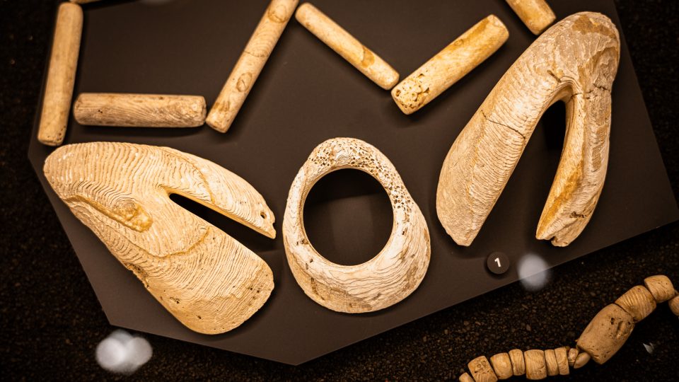 Spondylové ozdoby neolitické kultury s lineární keramikou | foto: Barbora Aradská, Národní muzeum Spondylové ozdoby neolitické kultury s lineární keramikou
