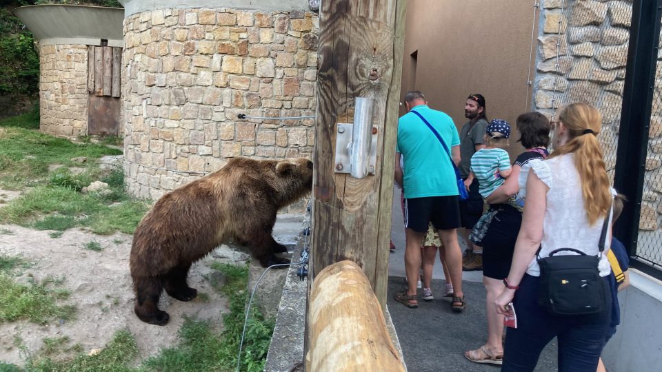 Zoologická zahrada v Děčíně pořádá o prázdninách speciální večerní prohlídky