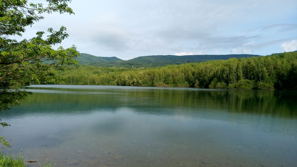 Jezero Otakar u Košťan a Hrobu na Teplicku leží v obtížně přístupném území