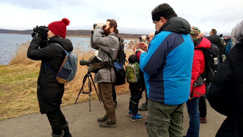 Pozorování ptáků na jezeře Milada na Ústecku