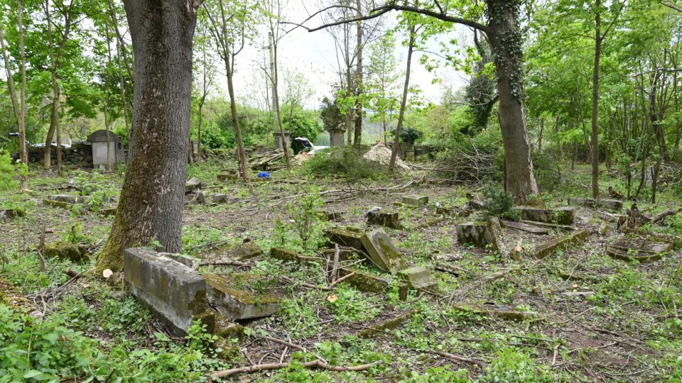 Starý německý hřbitov v Českém Bukově u Povrlů zachraňují členové spolku Omnium
