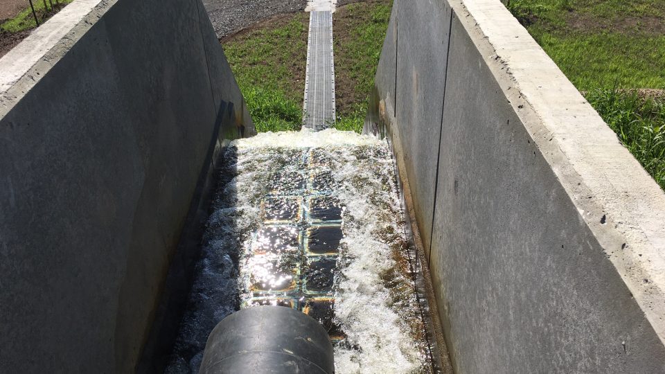 Unikátní bio čistička vody vznikla u Marinánských Radčic na Mostecku