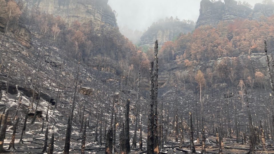 V Českém Švýcarsku vzniklo po ohni požářiště o rozloze přes 1200 hektarů