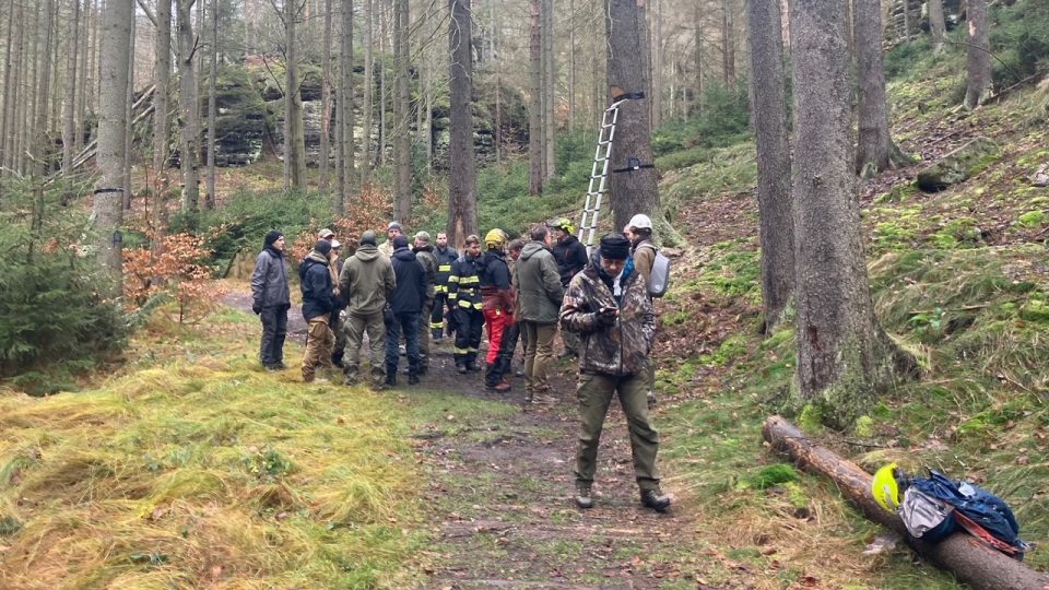 Policejní pyrotechnici odstřelují kůrovcové souše v Českém Švýcarsku