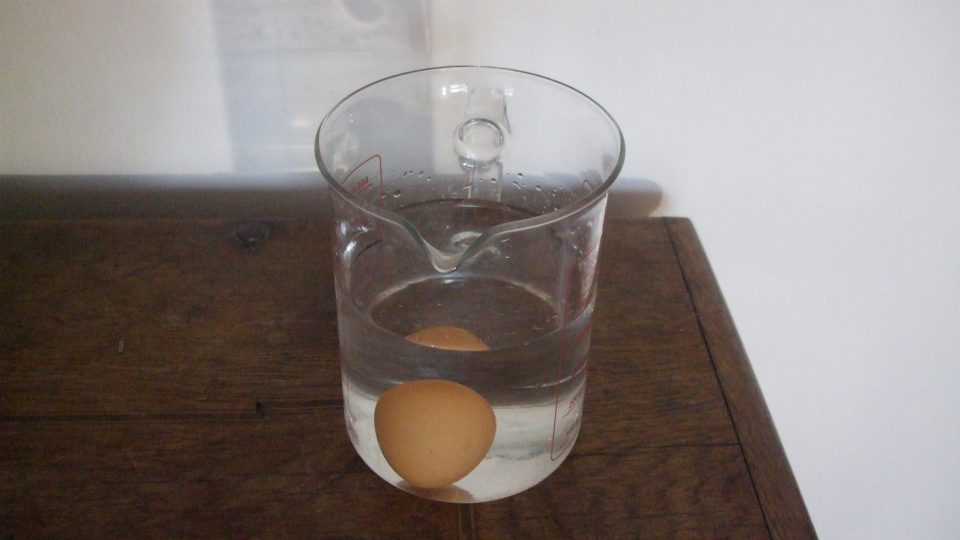 190400 - Pochoutky - vejce-čerstvé 1.JPG