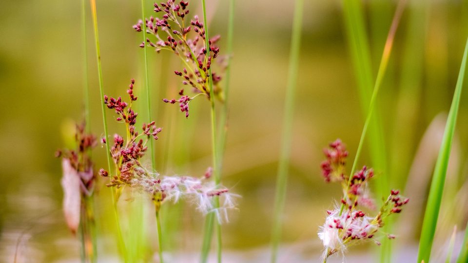 V Kurovickém lomu | foto: Martin Zelina V Kurovickém lomu