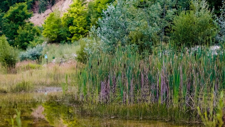 Kurovický lom | foto: Martin Zelina Kurovický lom