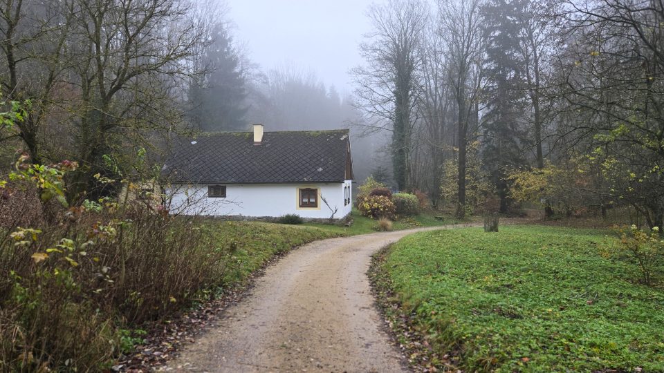 V někdejší osadě Bystřice na úpatí Rýchor | foto: Vladislava Wildová, Český rozhlas V někdejší osadě Bystřice na úpatí Rýchor