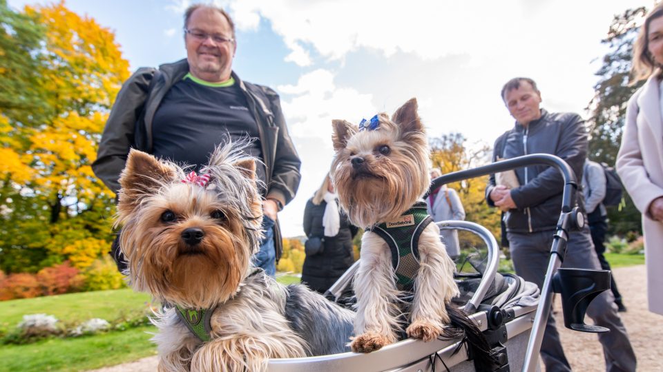 Výherce doprovodili i jejich čtyřnozí přátelé