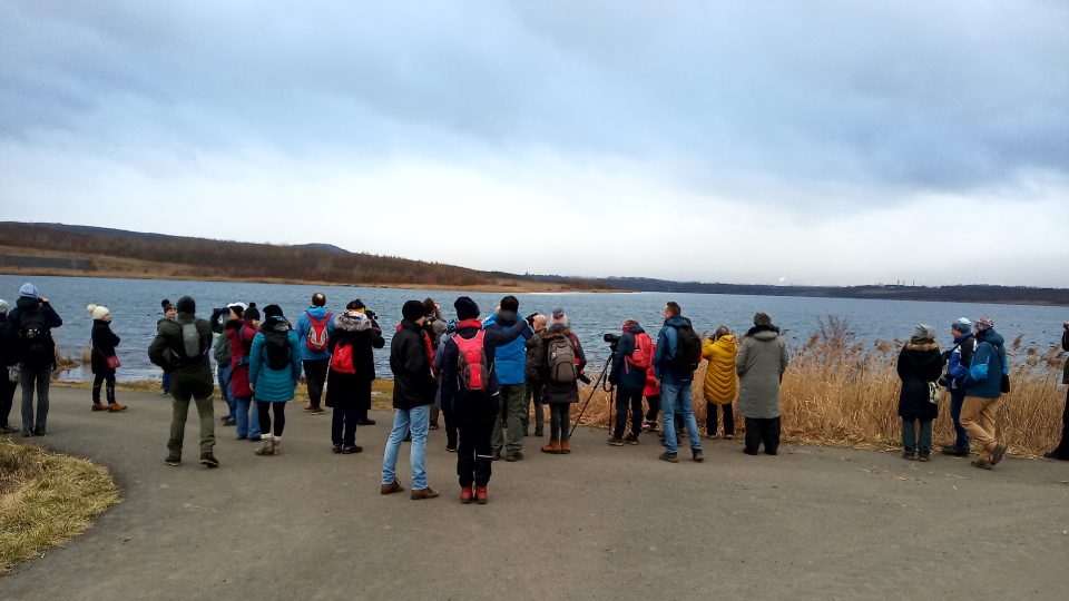 Pozorování ptáků na jezeře Milada na Ústecku