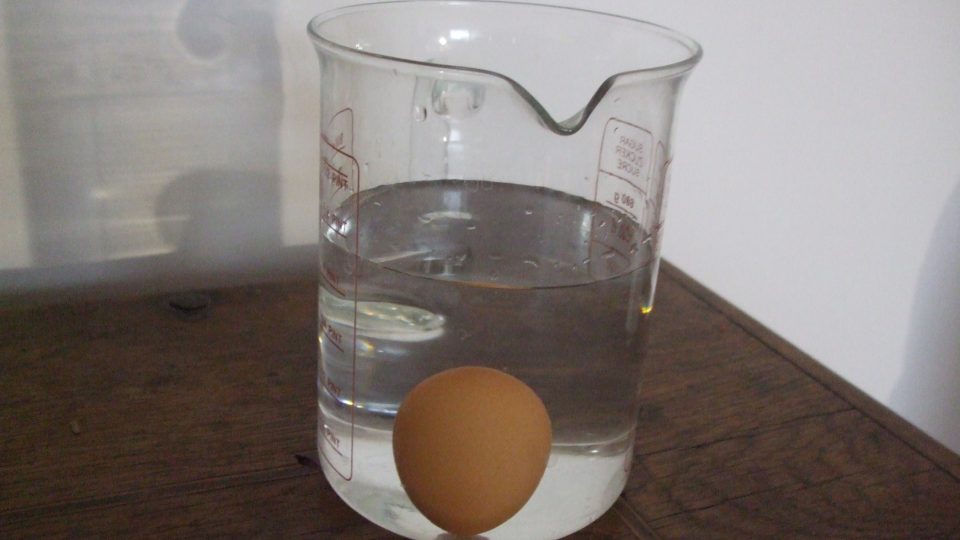 190400 - Pochoutky - vejce-čerstvé.JPG