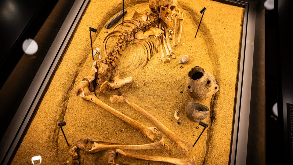 Kostrový hrob kultury s lineární keramikou. Instalace inspirovaná nálezovou situací z jihomoravských Vedrovic | foto: Barbora Aradská, Národní muzeum Kostrový hrob kultury s lineární keramikou. Instalace inspirovaná nálezovou situací z jihomoravských Vedrovic