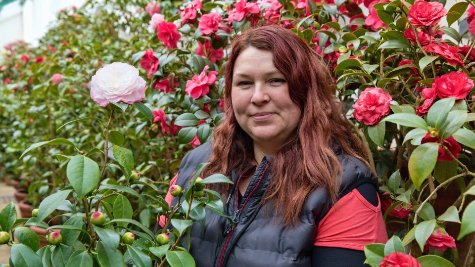 Tým zámeckých zahradníků, kteří o kamélie pečují, vede Jitka Abrlová