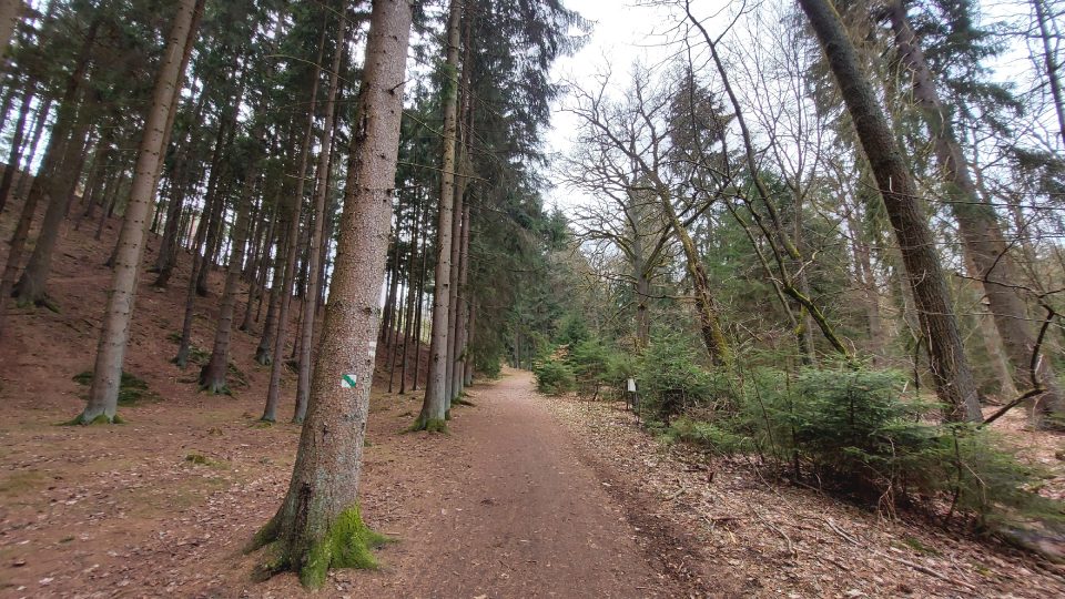 Naučná stezka prochází krásným lesem a cesta je vhodná i pro cyklisty