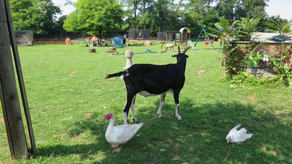 Klid Pohádkové zahrady | foto: Tereza Brázdová, Český rozhlas Klid Pohádkové zahrady