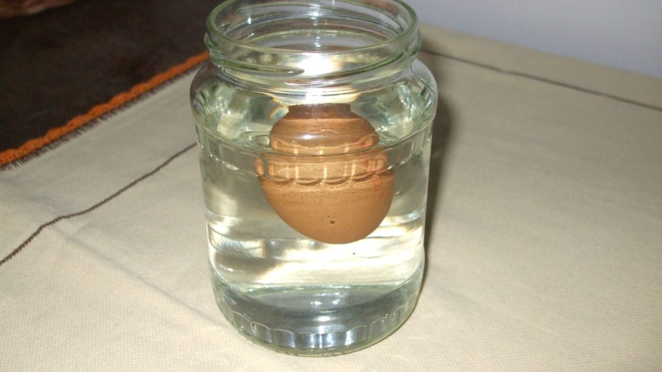 190400 - POCH- ne čerstvé vejce.JPG