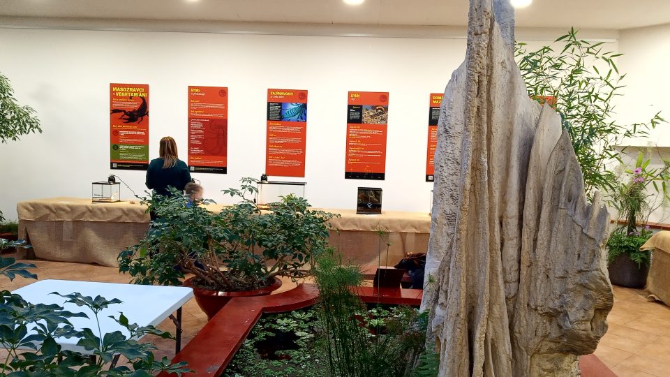 Botanická zahrada Teplice vystavuje štíry a strašilky
