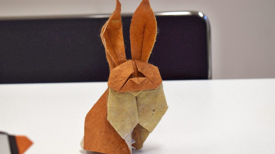 Origami ze setkání jejich tvůrců na ústecké univerzitě