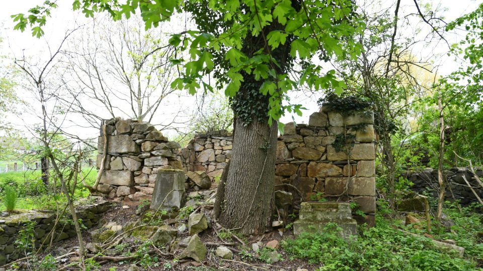 Starý německý hřbitov v Českém Bukově u Povrlů zachraňují členové spolku Omnium