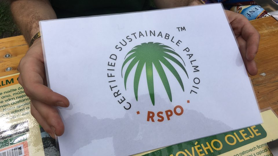 Deštných pralesů ubývá kvůli poptávce po palmovém oleji