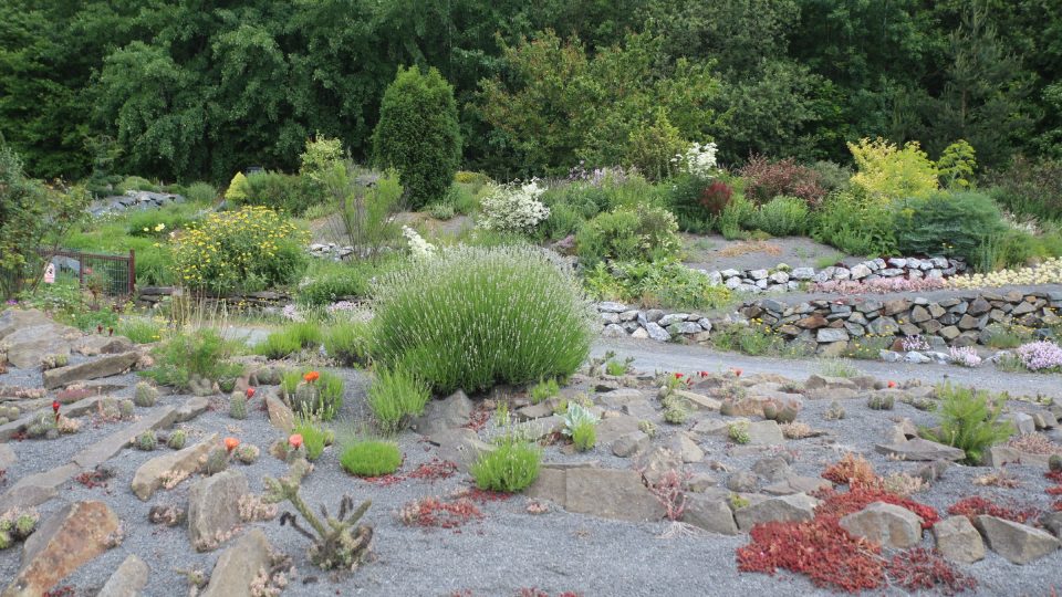 Skalka v arboretu Makču Pikču | foto: Aleš Spurný, Český rozhlas Skalka v arboretu Makču Pikču